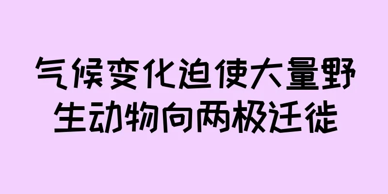 气候变化迫使大量野生动物向两极迁徙