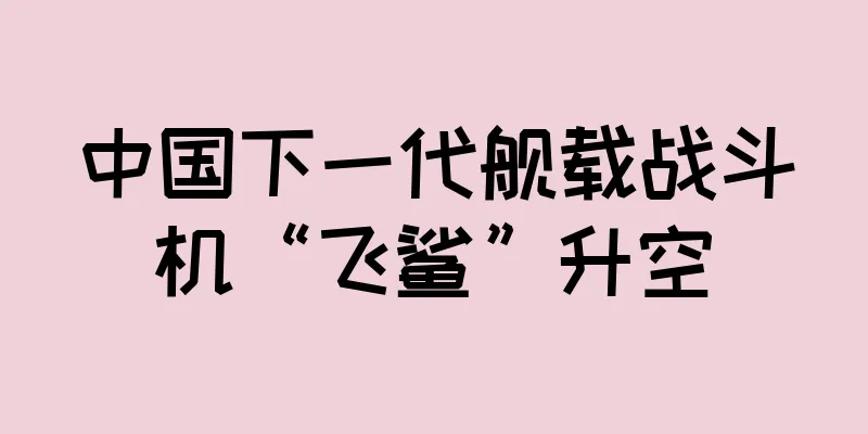 中国下一代舰载战斗机“飞鲨”升空