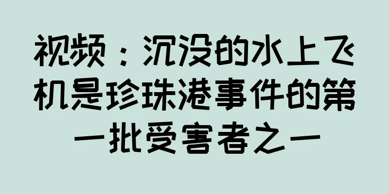 视频：沉没的水上飞机是珍珠港事件的第一批受害者之一