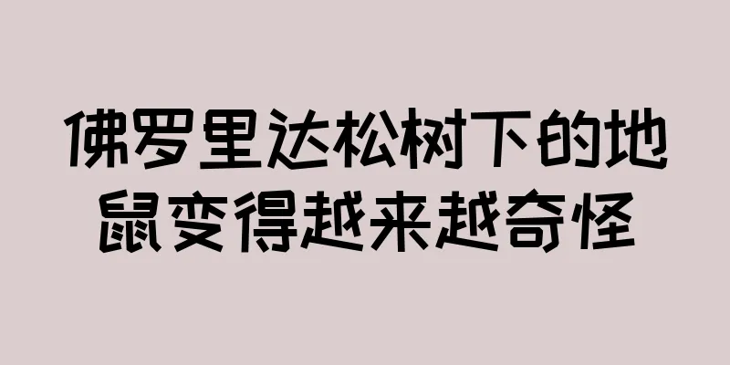 佛罗里达松树下的地鼠变得越来越奇怪