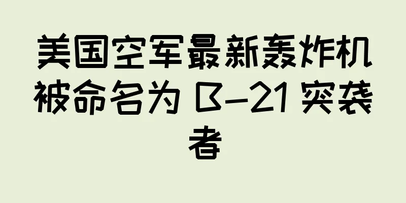 美国空军最新轰炸机被命名为 B-21 突袭者