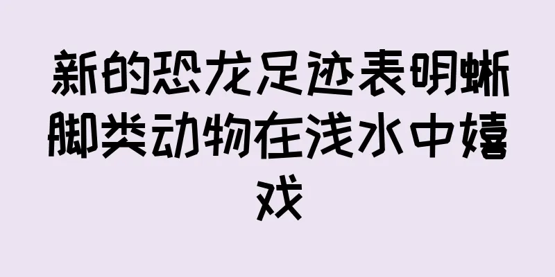 新的恐龙足迹表明蜥脚类动物在浅水中嬉戏