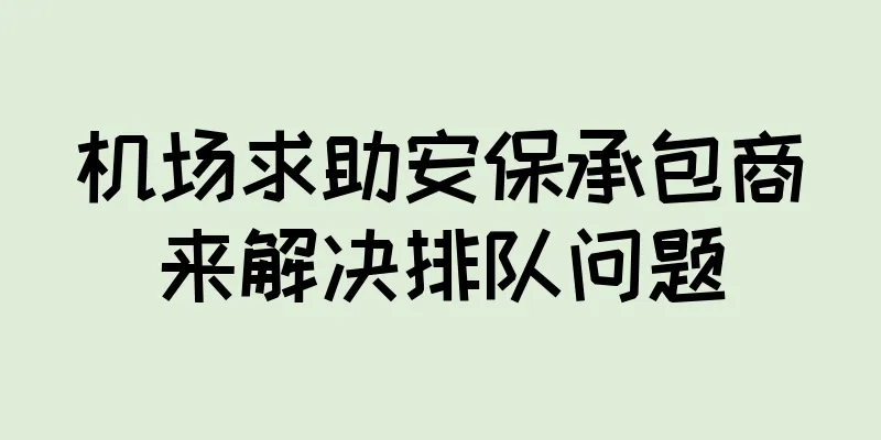 机场求助安保承包商来解决排队问题