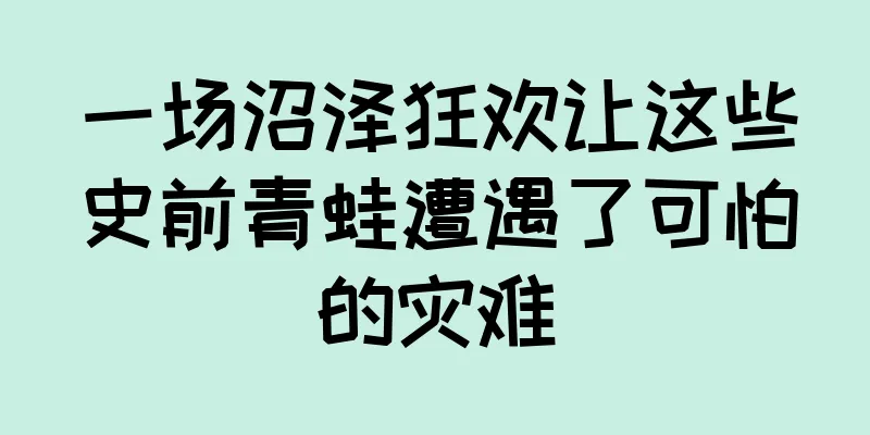 一场沼泽狂欢让这些史前青蛙遭遇了可怕的灾难
