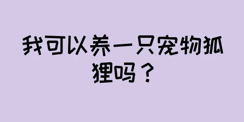 我可以养一只宠物狐狸吗？