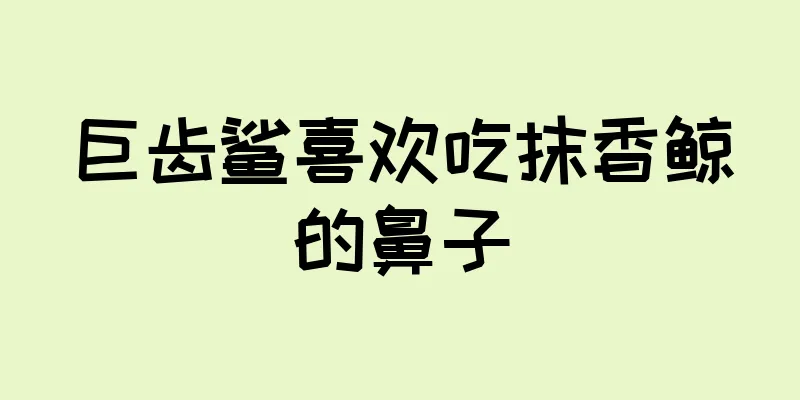 巨齿鲨喜欢吃抹香鲸的鼻子