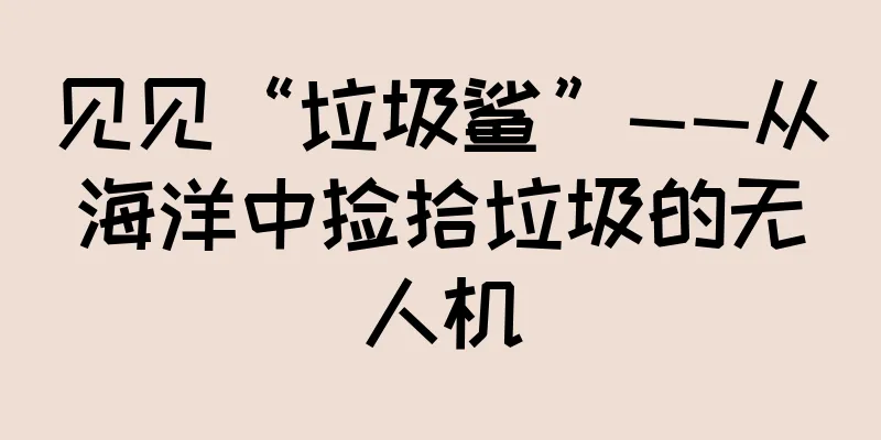 见见“垃圾鲨”——从海洋中捡拾垃圾的无人机