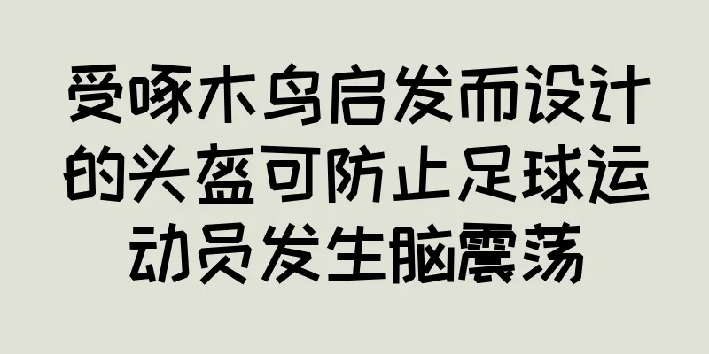 受啄木鸟启发而设计的头盔可防止足球运动员发生脑震荡