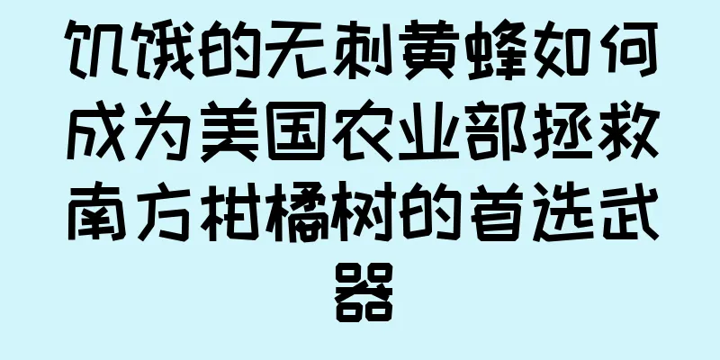 饥饿的无刺黄蜂如何成为美国农业部拯救南方柑橘树的首选武器