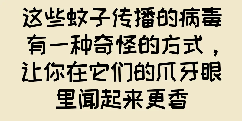 这些蚊子传播的病毒有一种奇怪的方式，让你在它们的爪牙眼里闻起来更香