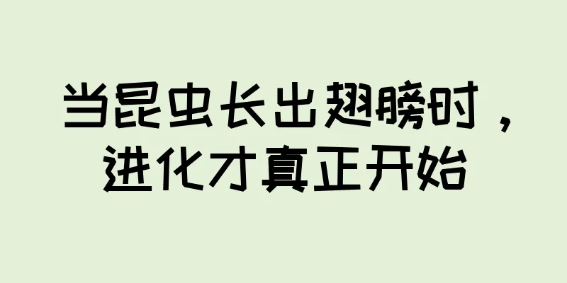 当昆虫长出翅膀时，进化才真正开始
