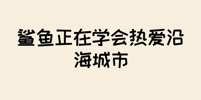 鲨鱼正在学会热爱沿海城市