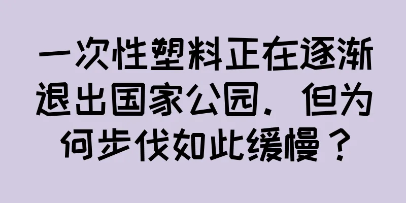 一次性塑料正在逐渐退出国家公园。但为何步伐如此缓慢？