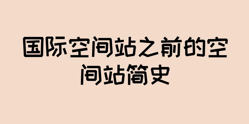 国际空间站之前的空间站简史