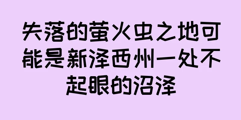 失落的萤火虫之地可能是新泽西州一处不起眼的沼泽