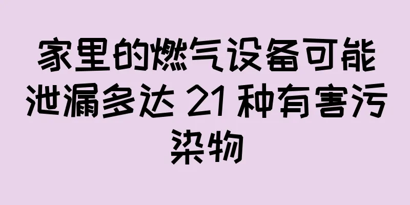 家里的燃气设备可能泄漏多达 21 种有害污染物