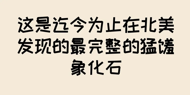这是迄今为止在北美发现的最完整的猛犸象化石
