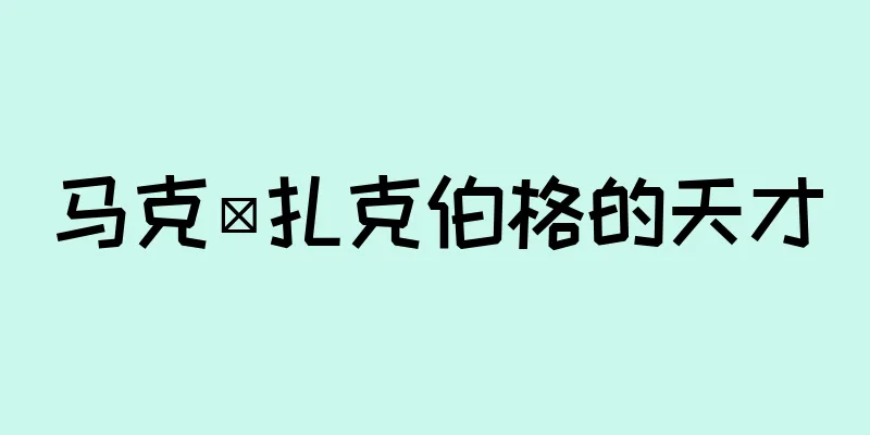 马克·扎克伯格的天才