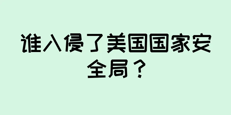 谁入侵了美国国家安全局？