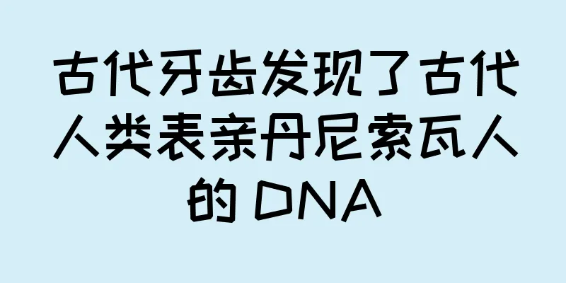 古代牙齿发现了古代人类表亲丹尼索瓦人的 DNA