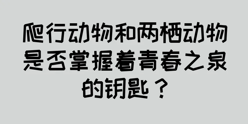 爬行动物和两栖动物是否掌握着青春之泉的钥匙？