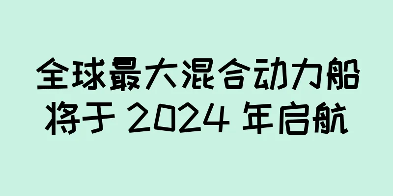 全球最大混合动力船将于 2024 年启航