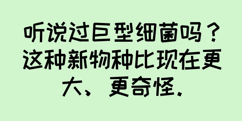 听说过巨型细菌吗？这种新物种比现在更大、更奇怪。
