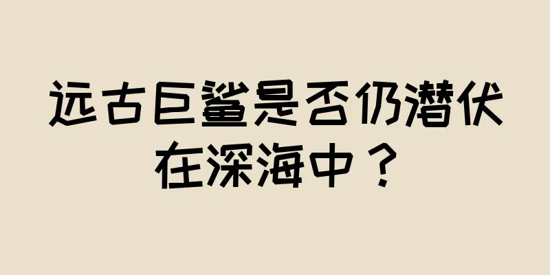 远古巨鲨是否仍潜伏在深海中？