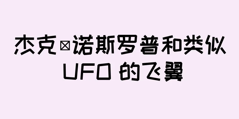 杰克·诺斯罗普和类似 UFO 的飞翼
