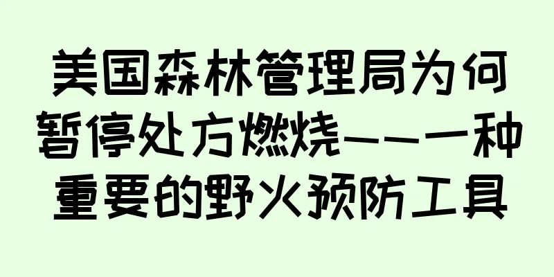 美国森林管理局为何暂停处方燃烧——一种重要的野火预防工具