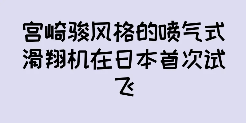 宫崎骏风格的喷气式滑翔机在日本首次试飞
