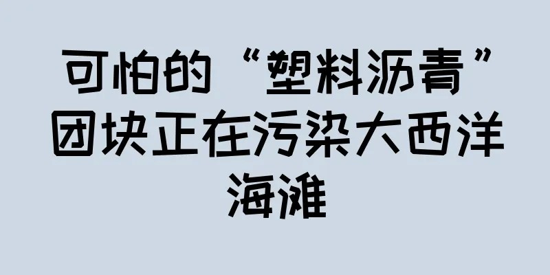 可怕的“塑料沥青”团块正在污染大西洋海滩