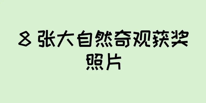 8 张大自然奇观获奖照片