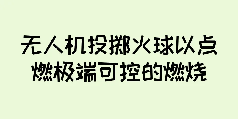 无人机投掷火球以点燃极端可控的燃烧