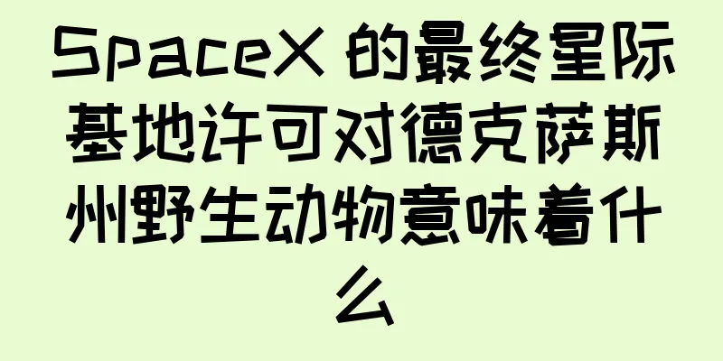 SpaceX 的最终星际基地许可对德克萨斯州野生动物意味着什么