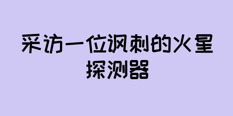 采访一位讽刺的火星探测器