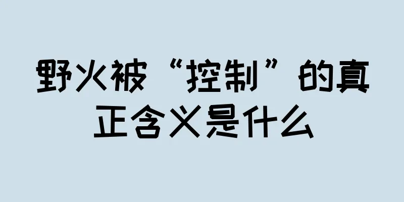 野火被“控制”的真正含义是什么