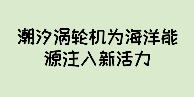 潮汐涡轮机为海洋能源注入新活力
