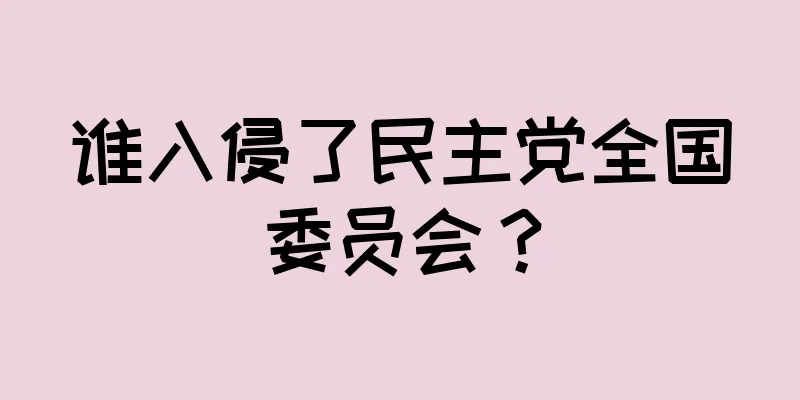谁入侵了民主党全国委员会？