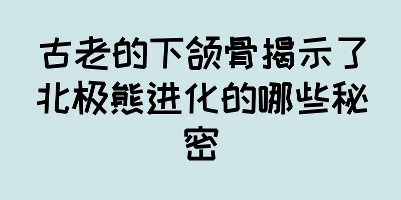 古老的下颌骨揭示了北极熊进化的哪些秘密