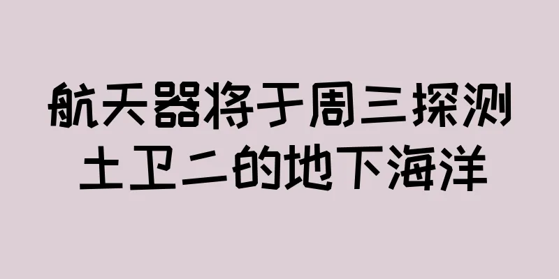 航天器将于周三探测土卫二的地下海洋