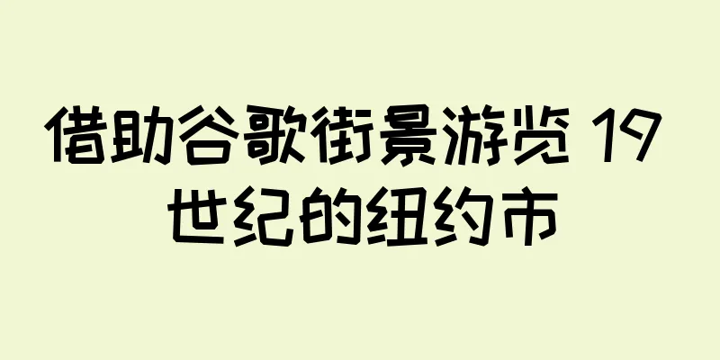 借助谷歌街景游览 19 世纪的纽约市