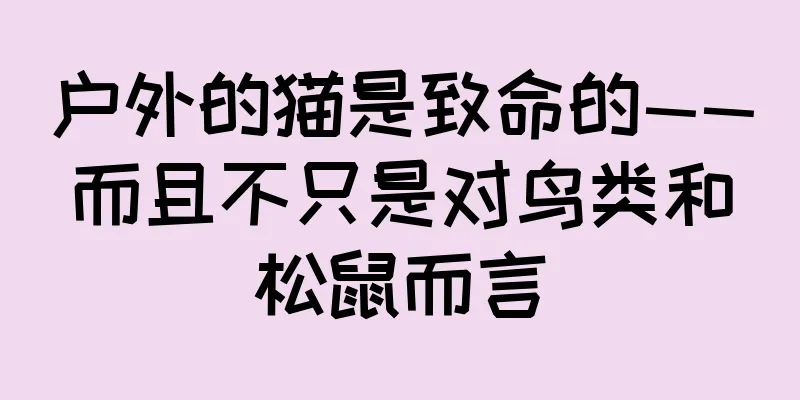 户外的猫是致命的——而且不只是对鸟类和松鼠而言