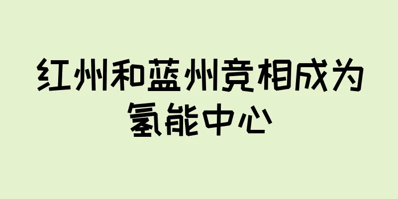 红州和蓝州竞相成为氢能中心