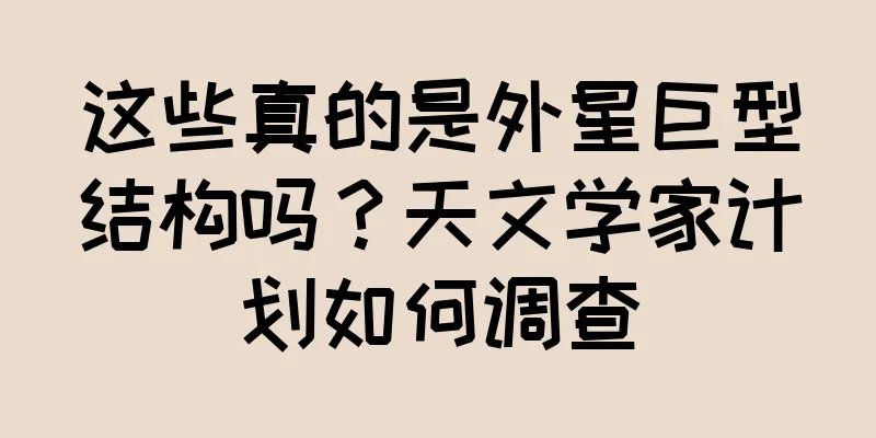这些真的是外星巨型结构吗？天文学家计划如何调查