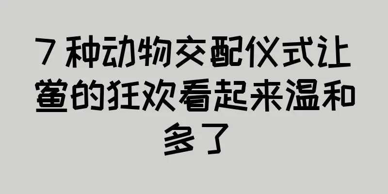 7 种动物交配仪式让鲎的狂欢看起来温和多了