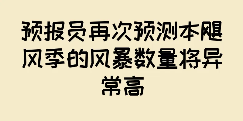预报员再次预测本飓风季的风暴数量将异常高