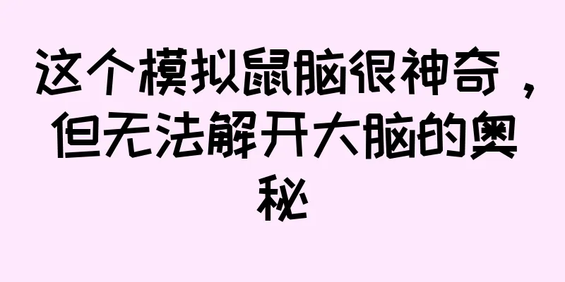 这个模拟鼠脑很神奇，但无法解开大脑的奥秘
