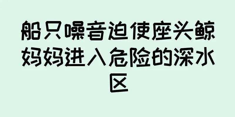 船只噪音迫使座头鲸妈妈进入危险的深水区
