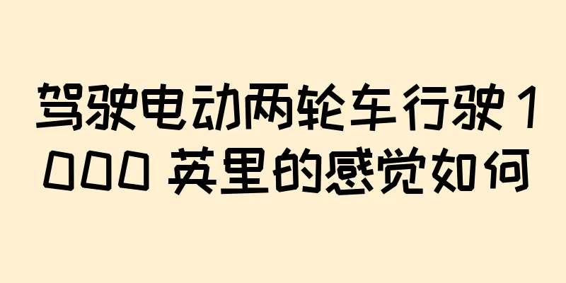 驾驶电动两轮车行驶 1000 英里的感觉如何
